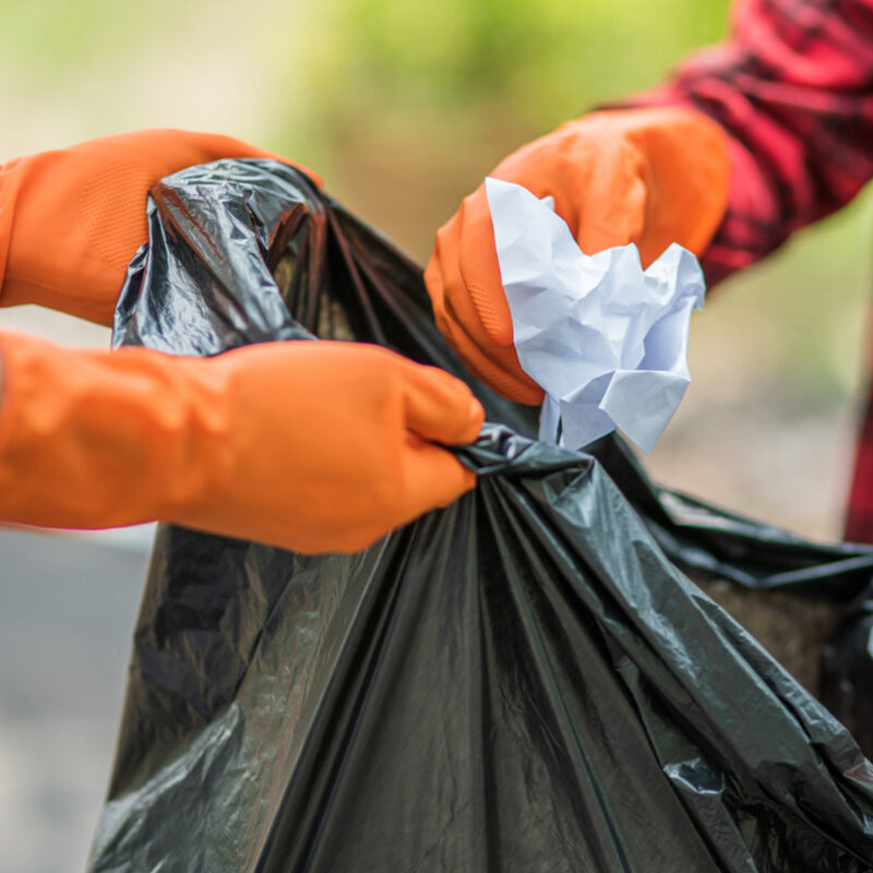 City Waste Clearance