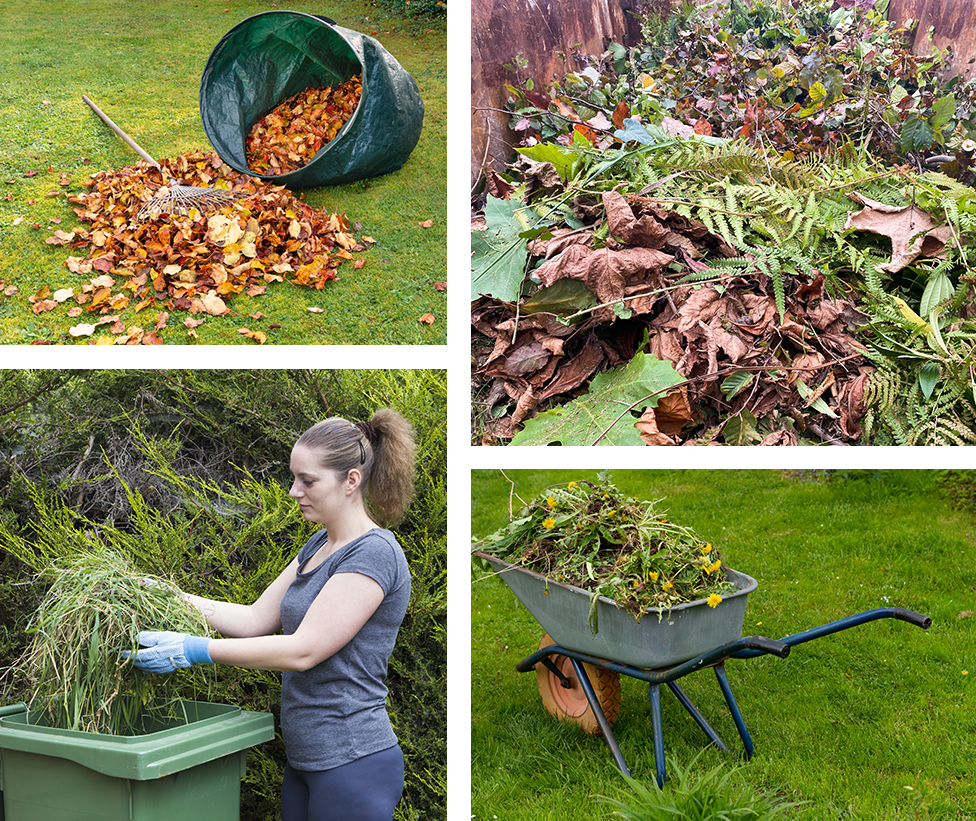 City Waste Clearance