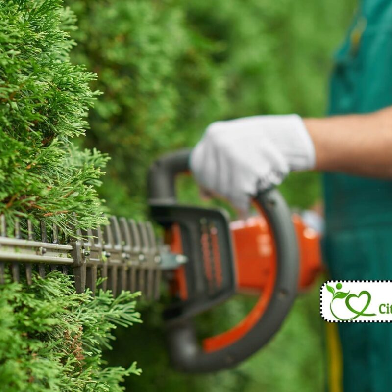 Garden Maintenance London