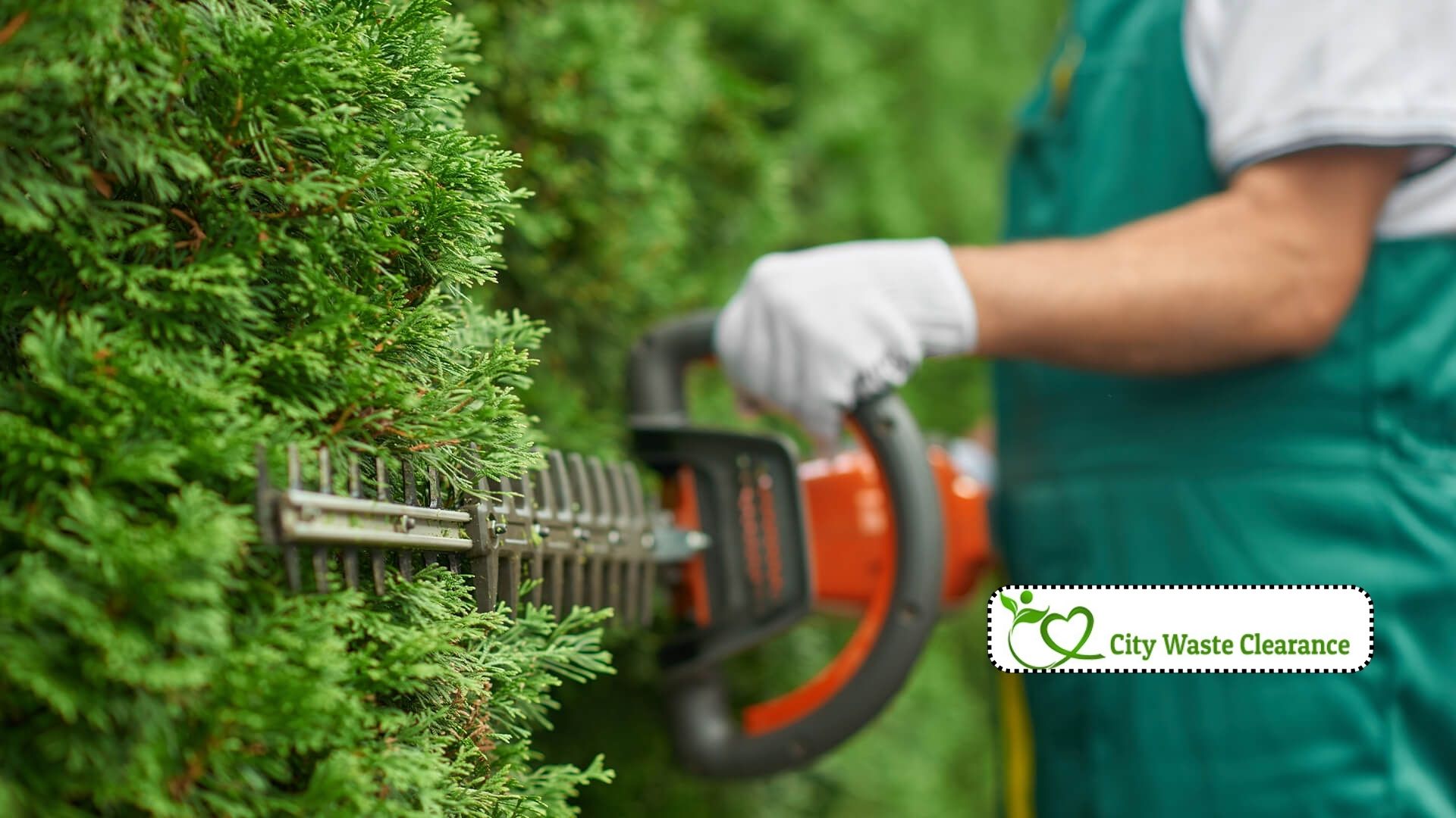 Garden Maintenance London: Expert Tips for a Lush Green Space