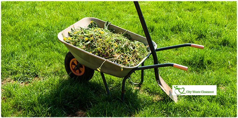 Green Waste Collection London: Eco-Friendly Disposal Solutions