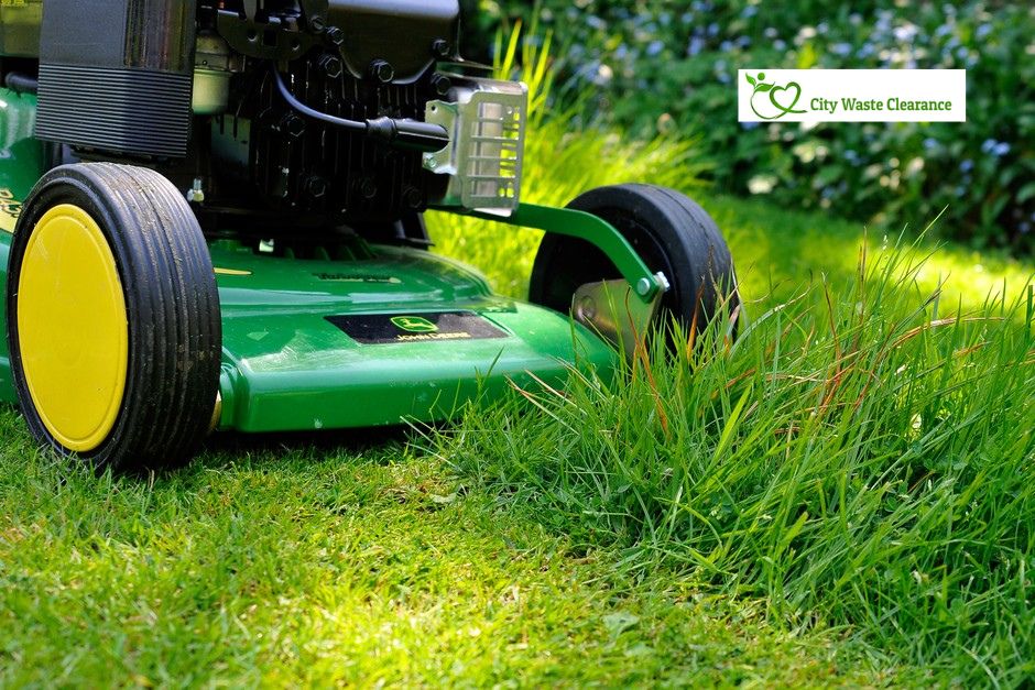 Lawn Care Services London: Transform Your Garden Today!