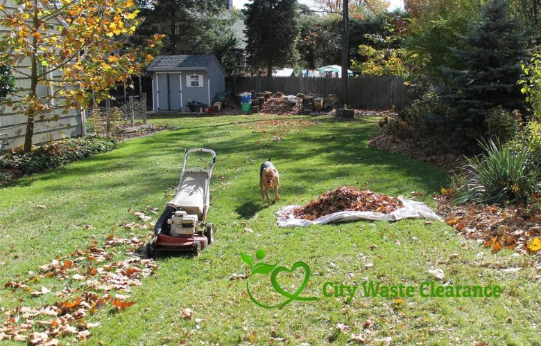 Winter Lawn Care London: Expert Tips for a Lush Winter Lawn