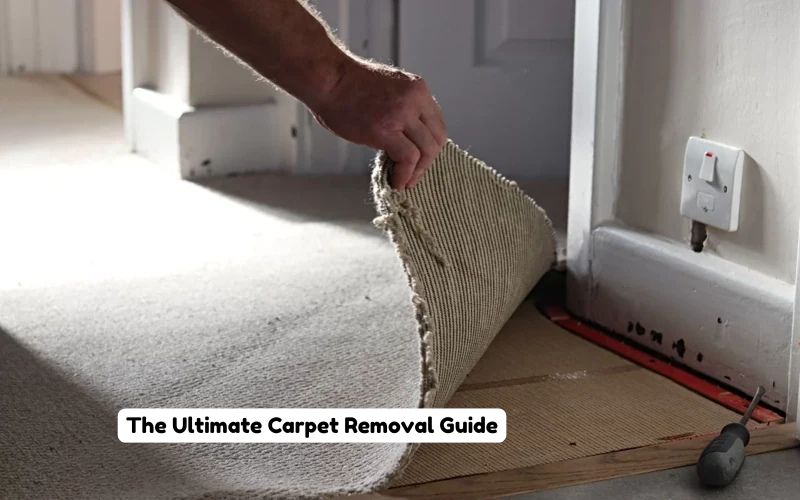 The Ultimate Carpet Removal Guide